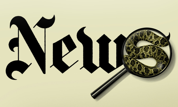 web_fakenews-color